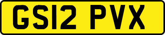GS12PVX