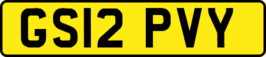 GS12PVY