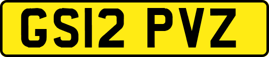 GS12PVZ