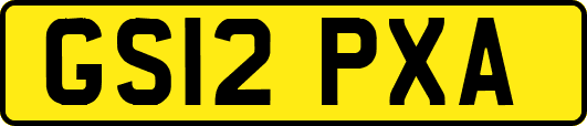 GS12PXA