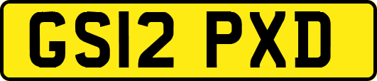 GS12PXD
