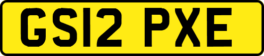 GS12PXE