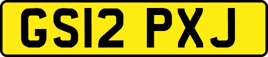 GS12PXJ