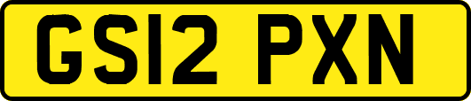GS12PXN
