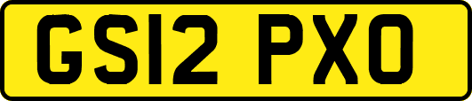 GS12PXO