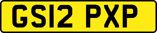GS12PXP