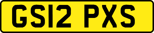 GS12PXS