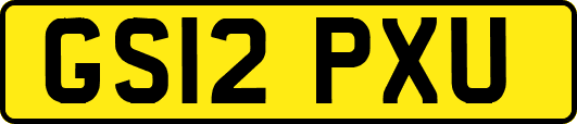 GS12PXU