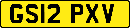 GS12PXV