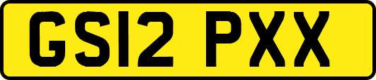 GS12PXX