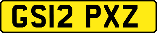 GS12PXZ