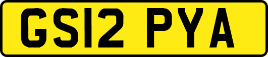 GS12PYA