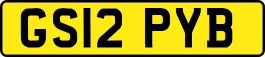 GS12PYB