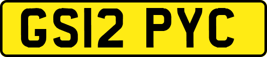 GS12PYC