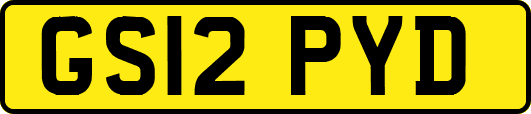 GS12PYD