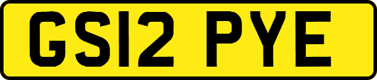 GS12PYE