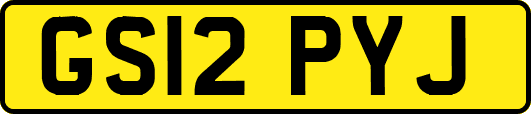 GS12PYJ
