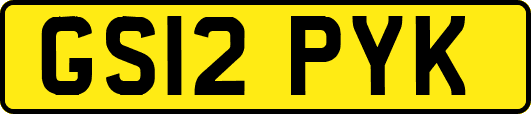 GS12PYK