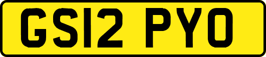 GS12PYO