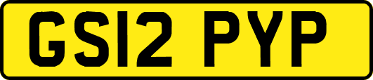 GS12PYP