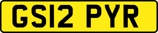 GS12PYR
