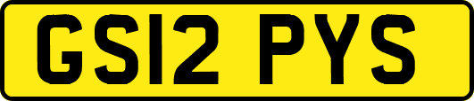 GS12PYS