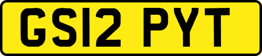 GS12PYT