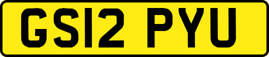 GS12PYU
