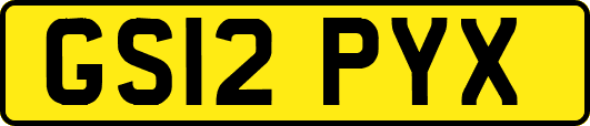 GS12PYX