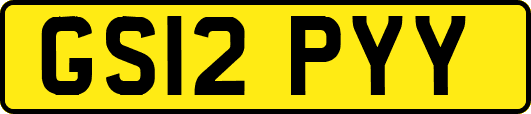 GS12PYY