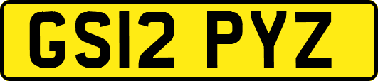 GS12PYZ