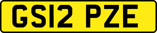 GS12PZE