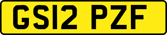 GS12PZF