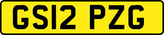GS12PZG