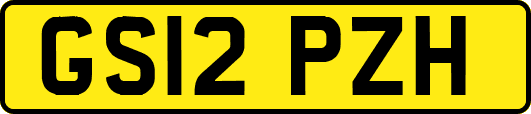 GS12PZH