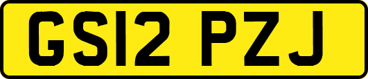GS12PZJ