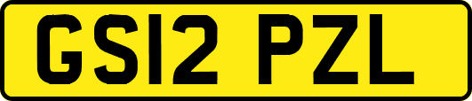 GS12PZL