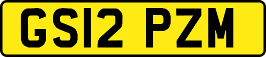GS12PZM