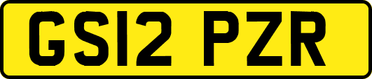 GS12PZR