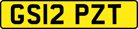 GS12PZT