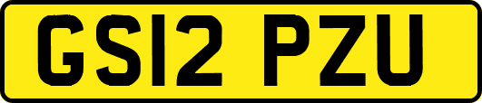 GS12PZU