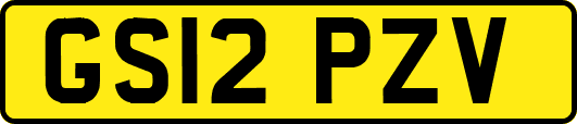 GS12PZV