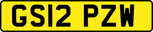 GS12PZW