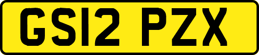 GS12PZX