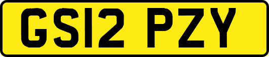GS12PZY