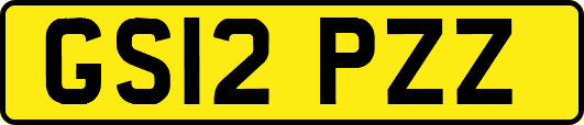 GS12PZZ