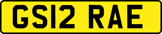 GS12RAE