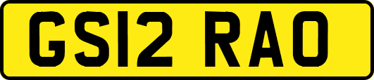 GS12RAO