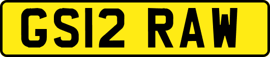 GS12RAW