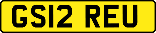 GS12REU